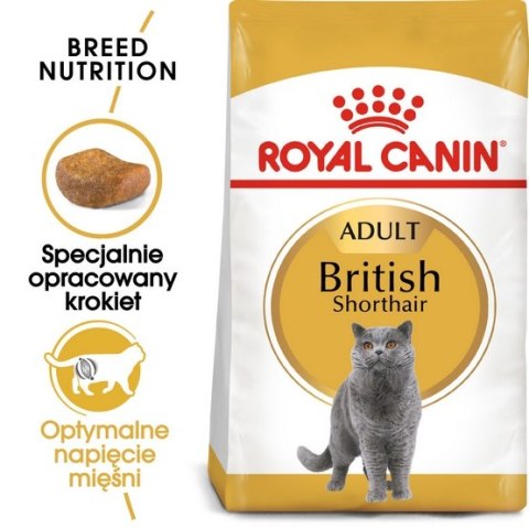 Royal Canin British Shorthair Adult karma sucha dla kotów dorosłych rasy brytyjski krótkowłosy 4kg Royal Canin British Shorthair Adult karma sucha dla kotów dorosłych rasy brytyjski krótkowłosy 4kg