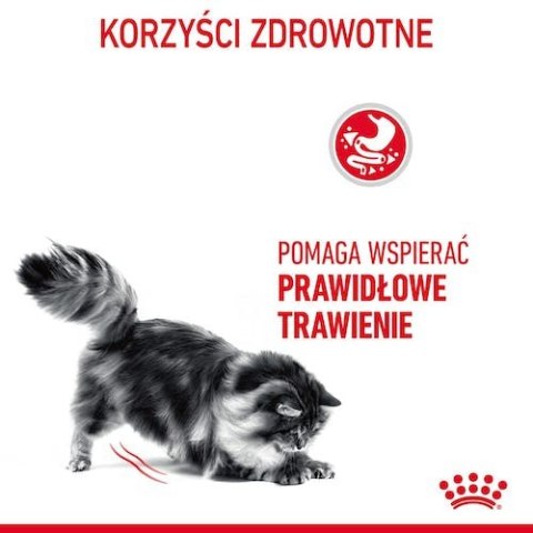 Royal Canin Digestive Care karma sucha dla kotów dorosłych, wspomagająca przebieg trawienia 2kg Royal Canin Digestive Care karma sucha dla kotów dorosłych, wspomagająca przebieg trawienia 2kg