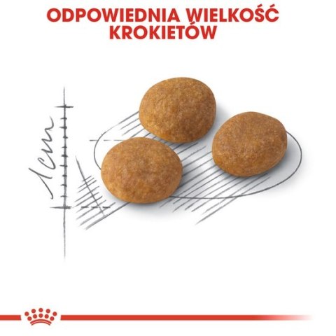 Royal Canin Exigent Aromatic Attraction karma sucha dla kotów dorosłych, wybrednych, kierujących się zapachem 400g Royal Canin Exigent Aromatic Attraction karma sucha dla kotów dorosłych, wybrednych, kierujących się zapachem 400g