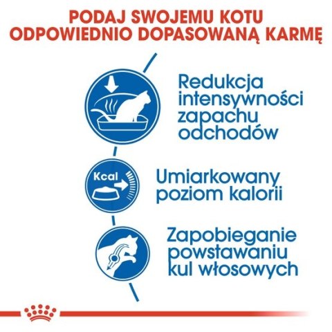 Royal Canin Indoor karma sucha dla kotów dorosłych, przebywających wyłącznie w domu 400g Royal Canin Indoor karma sucha dla kotów dorosłych, przebywających wyłącznie w domu 400g