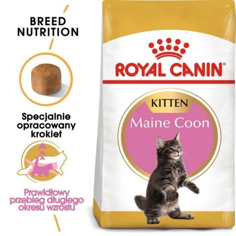 Royal Canin Maine Coon Kitten karma sucha dla kociąt, do 15 miesiąca, rasy maine coon 400g Royal Canin Maine Coon Kitten karma sucha dla kociąt, do 15 miesiąca, rasy maine coon 400g