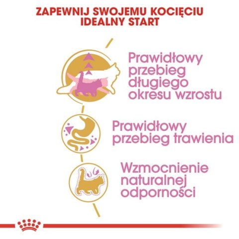 Royal Canin Maine Coon Kitten karma sucha dla kociąt, do 15 miesiąca, rasy maine coon 400g Royal Canin Maine Coon Kitten karma sucha dla kociąt, do 15 miesiąca, rasy maine coon 400g