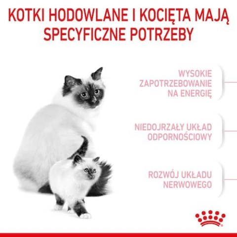 Royal Canin Mother&Babycat karma sucha dla kotek w okresie ciąży, laktacji i kociąt od 1 do 4 miesiąca 4kg Royal Canin Mother&Babycat karma sucha dla kotek w okresie ciąży, laktacji i kociąt od 1 do 4 miesiąca 4kg