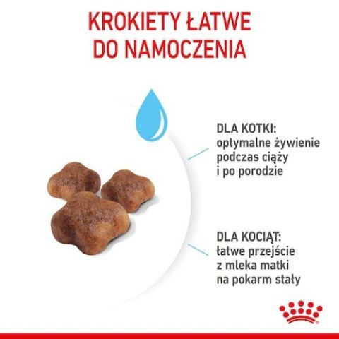Royal Canin Mother&Babycat karma sucha dla kotek w okresie ciąży, laktacji i kociąt od 1 do 4 miesiąca 4kg Royal Canin Mother&Babycat karma sucha dla kotek w okresie ciąży, laktacji i kociąt od 1 do 4 miesiąca 4kg
