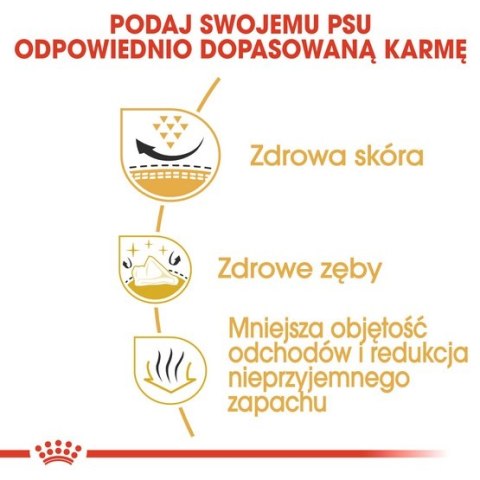 Royal Canin Shih Tzu Adult karma sucha dla psów dorosłych rasy shih tzu 1,5kg Royal Canin Shih Tzu Adult karma sucha dla psów dorosłych rasy shih tzu 1,5kg