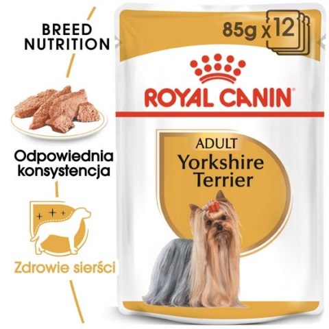 Royal Canin Yorkshire Terrier Adult karma mokra - pasztet, dla psów dorosłych rasy yorkshire terrier saszetka 85g Royal Canin Yorkshire Terrier Adult karma mokra - pasztet, dla psów dorosłych rasy yorkshire terrier saszetka 85g