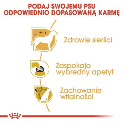 Royal Canin Yorkshire Terrier Adult karma sucha dla psów dorosłych rasy yorkshire terrier 1,5kg Royal Canin Yorkshire Terrier Adult karma sucha dla psów dorosłych rasy yorkshire terrier 1,5kg