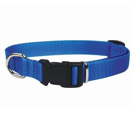 CHABA Obroża taśma regulowana 10mm x 30cm niebieska CHABA Obroża taśma regulowana 10mm x 30cm niebieska