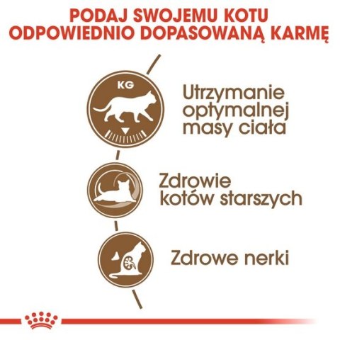 Royal Canin Ageing +12 Sterilised karma sucha dla kotów dojrzałych, sterylizowanych 4kg Royal Canin Ageing +12 Sterilised karma sucha dla kotów dojrzałych, sterylizowanych 4kg
