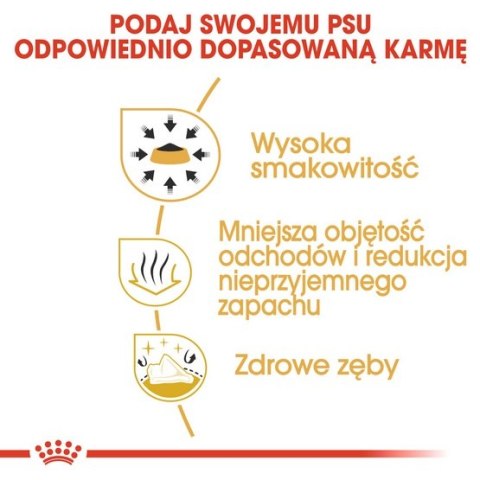 Royal Canin Chihuahua Adult karma sucha dla psów dorosłych rasy chihuahua 1,5kg Royal Canin Chihuahua Adult karma sucha dla psów dorosłych rasy chihuahua 1,5kg