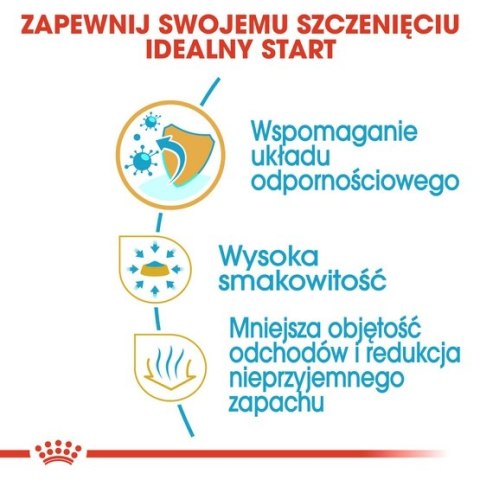 Royal Canin Chihuahua Puppy karma sucha dla szczeniąt do 8 miesiąca, rasy chihuahua 0,5kg Royal Canin Chihuahua Puppy karma sucha dla szczeniąt do 8 miesiąca, rasy chihuahua 0,5kg