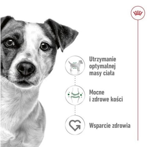 Royal Canin Mini Adult karma sucha dla psów dorosłych, ras małych 0,8kg Royal Canin Mini Adult karma sucha dla psów dorosłych, ras małych 0,8kg