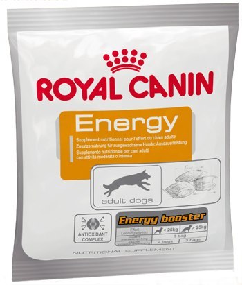 Royal Canin Nutritional Supplement Energy zdrowy przysmak dla psów dorosłych, aktywnych 50g Royal Canin Nutritional Supplement Energy zdrowy przysmak dla psów dorosłych, aktywnych 50g