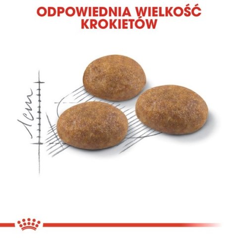 Royal Canin Outdoor karma sucha dla kotów dorosłych, wychodzących na zewnątrz 2kg Royal Canin Outdoor karma sucha dla kotów dorosłych, wychodzących na zewnątrz 2kg