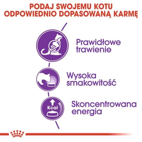 Royal Canin Sensible karma sucha dla kotów dorosłych, o wrażliwym przewodzie pokarmowym 4kg Royal Canin Sensible karma sucha dla kotów dorosłych, o wrażliwym przewodzie pokarmowym 4kg