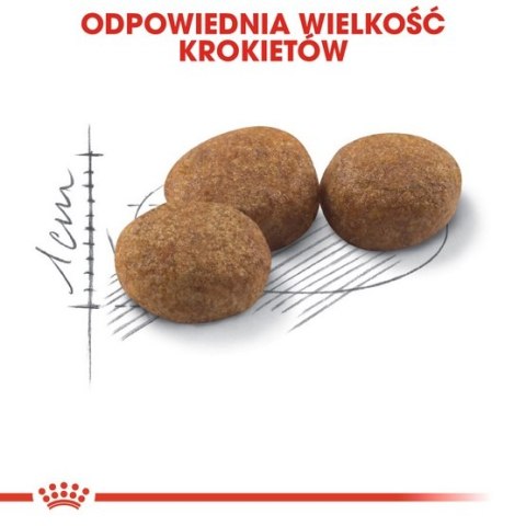 Royal Canin Sterilised karma sucha dla kotów dorosłych, sterylizowanych 4kg Royal Canin Sterilised karma sucha dla kotów dorosłych, sterylizowanych 4kg