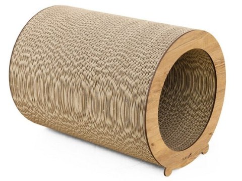 Gattino Drapak 12 Mia dąb lancelot Gattino Drapak 12 Mia dąb lancelot