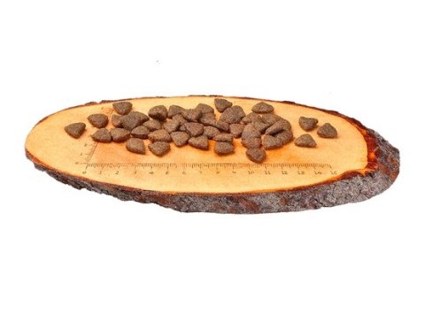 Carnilove Dog Salmon Adult - łosoś 1,5kg Carnilove Dog Salmon Adult - łosoś 1,5kg