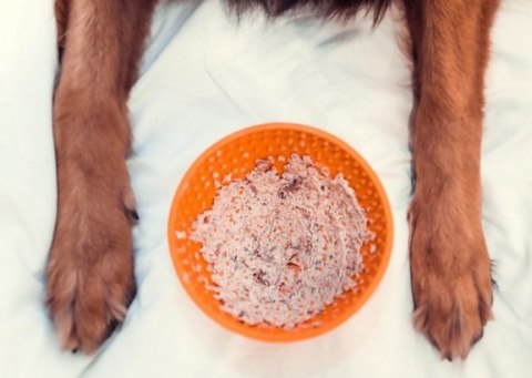 LickiMat Wobble Miska głęboka Jeżyk miękka turkusowa LickiMat Wobble Miska głęboka Jeżyk miękka turkusowa