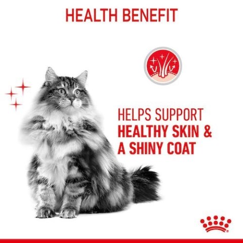 Royal Canin Hair&Skin Care karma sucha dla kotów dorosłych, lśniąca sierść i zdrowa skóra 2kg Royal Canin Hair&Skin Care karma sucha dla kotów dorosłych, lśniąca sierść i zdrowa skóra 2kg