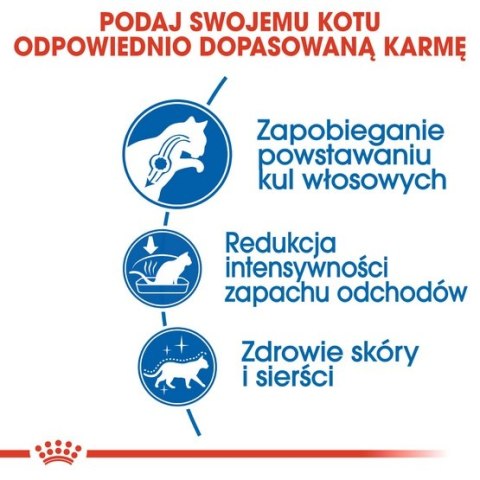 Royal Canin Indoor Long Hair karma sucha dla kotów dorosłych, długowłose, przebywających wyłącznie w domu 2kg Royal Canin Indoor Long Hair karma sucha dla kotów dorosłych, długowłose, przebywających wyłącznie w domu 2kg