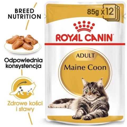 Royal Canin Maine Coon karma mokra w sosie dla kotów dorosłych rasy maine coon saszetka 85g Royal Canin Maine Coon karma mokra w sosie dla kotów dorosłych rasy maine coon saszetka 85g
