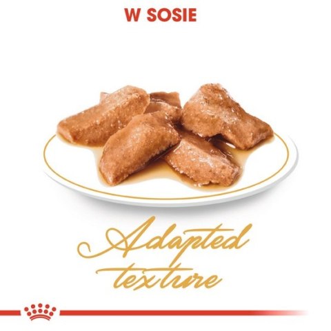 Royal Canin Maine Coon karma mokra w sosie dla kotów dorosłych rasy maine coon saszetka 85g Royal Canin Maine Coon karma mokra w sosie dla kotów dorosłych rasy maine coon saszetka 85g