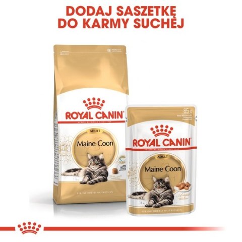 Royal Canin Maine Coon karma mokra w sosie dla kotów dorosłych rasy maine coon saszetka 85g Royal Canin Maine Coon karma mokra w sosie dla kotów dorosłych rasy maine coon saszetka 85g