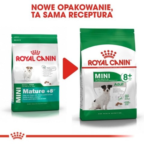 Royal Canin Mini Adult 8+ karma sucha dla psów starszych od 8 do 12 roku życia, ras małych 2kg Royal Canin Mini Adult 8+ karma sucha dla psów starszych od 8 do 12 roku życia, ras małych 2kg