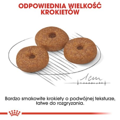 Royal Canin Mini Ageing 12+ karma sucha dla psów dojrzałych po 12 roku życia, ras małych 800g Royal Canin Mini Ageing 12+ karma sucha dla psów dojrzałych po 12 roku życia, ras małych 800g