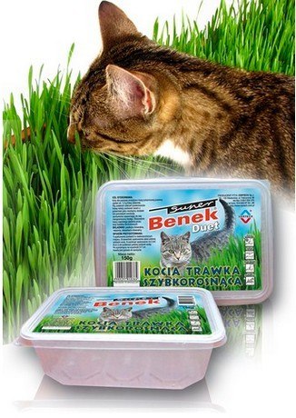 Super Benek Trawka szybkorosnąca dla kota 150g Super Benek Trawka szybkorosnąca dla kota 150g
