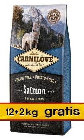Carnilove Dog Salmon Adult - łosoś 14kg (12+2kg gratis) Carnilove Dog Salmon Adult - łosoś 14kg (12+2kg gratis)