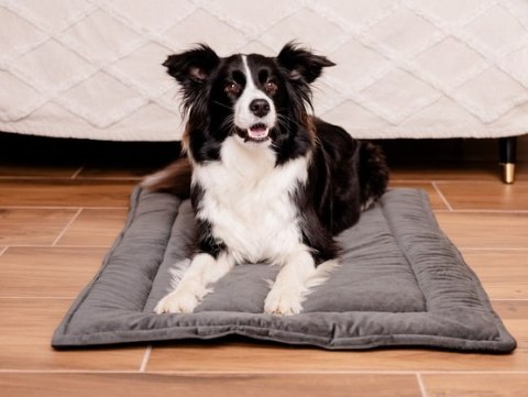 MIMIKO Pets Mata Velvet 100x70cm grafit MIMIKO Pets Mata Velvet 100x70cm grafit