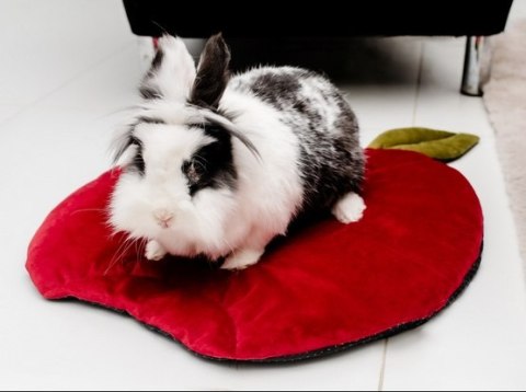 MIMIKO Pets Mata Velvet Form Jabłko MIMIKO Pets Mata Velvet Form Jabłko