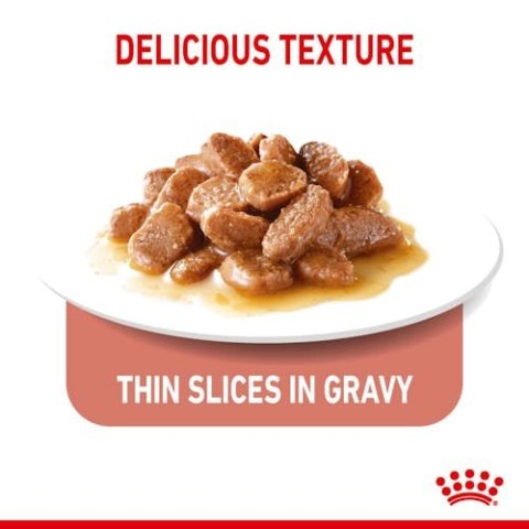 Royal Canin Appetite Control Care karma mokra w sosie dla kotów dorosłych, domagających się jedzenia saszetka 85g Royal Canin Appetite Control Care karma mokra w sosie dla kotów dorosłych, domagających się jedzenia saszetka 85g
