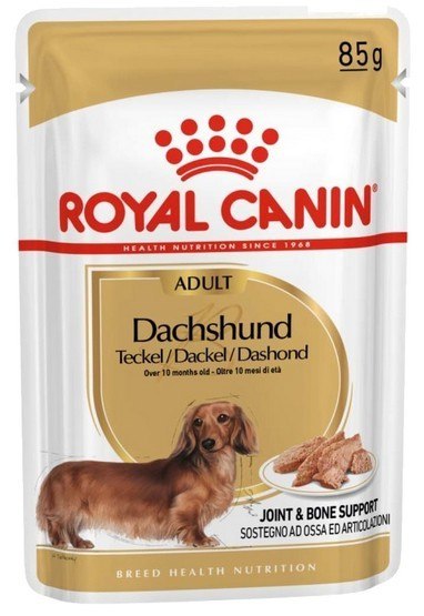 Royal Canin Dachshund karma mokra - pasztet, dla psów dorosłych rasy jamnik saszetka 85g Royal Canin Dachshund karma mokra - pasztet, dla psów dorosłych rasy jamnik saszetka 85g