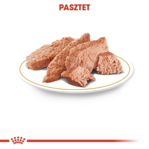 Royal Canin Dachshund karma mokra - pasztet, dla psów dorosłych rasy jamnik saszetka 85g Royal Canin Dachshund karma mokra - pasztet, dla psów dorosłych rasy jamnik saszetka 85g