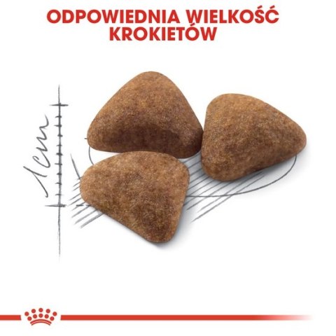 Royal Canin Indoor karma sucha dla kotów dorosłych, przebywających wyłącznie w domu 4kg Royal Canin Indoor karma sucha dla kotów dorosłych, przebywających wyłącznie w domu 4kg