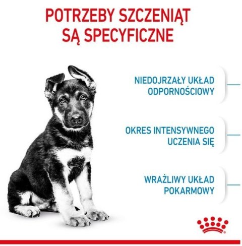 Royal Canin Maxi Puppy karma sucha dla szczeniąt, od 2 do 15 miesiąca życia, ras dużych 4kg Royal Canin Maxi Puppy karma sucha dla szczeniąt, od 2 do 15 miesiąca życia, ras dużych 4kg