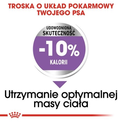 Royal Canin Medium Sterilised karma sucha dla psów dorosłych, ras średnich, sterylizowanych 3kg Royal Canin Medium Sterilised karma sucha dla psów dorosłych, ras średnich, sterylizowanych 3kg
