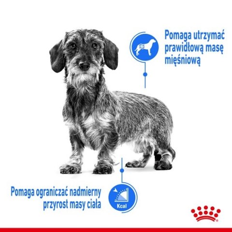 Royal Canin Mini Light Weight Care karma sucha dla psów dorosłych, ras małych z tendencją do nadwagi 3kg Royal Canin Mini Light Weight Care karma sucha dla psów dorosłych, ras małych z tendencją do nadwagi 3kg