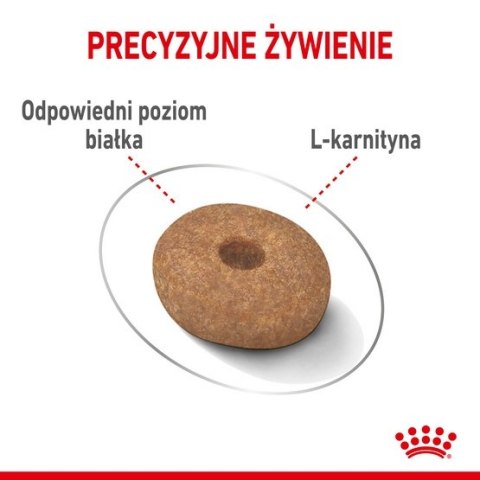 Royal Canin Mini Light Weight Care karma sucha dla psów dorosłych, ras małych z tendencją do nadwagi 3kg Royal Canin Mini Light Weight Care karma sucha dla psów dorosłych, ras małych z tendencją do nadwagi 3kg