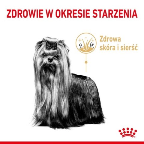 Royal Canin Yorkshire Terrier Adult 8+ karma sucha dla psów starszych rasy yorkshire terrier 3kg Royal Canin Yorkshire Terrier Adult 8+ karma sucha dla psów starszych rasy yorkshire terrier 3kg