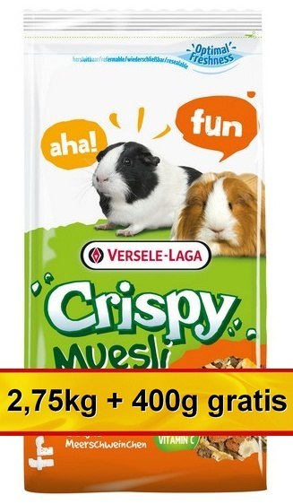Versele-Laga Crispy Muesli Guinea Pig - pokarm dla świnki morskiej 3,15kg (2,75+0,4kg gratis) Versele-Laga Crispy Muesli Guinea Pig - pokarm dla świnki morskiej 3,15kg (2,75+0,4kg gratis)