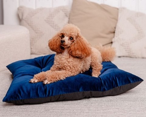 MIMIKO Pets Legowisko Poducha Velvet 70x50cm granat MIMIKO Pets Legowisko Poducha Velvet 70x50cm granat