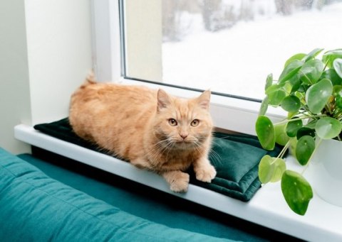 MIMIKO Pets Mata Velvet 25x70cm butelkowa zieleń MIMIKO Pets Mata Velvet 25x70cm butelkowa zieleń