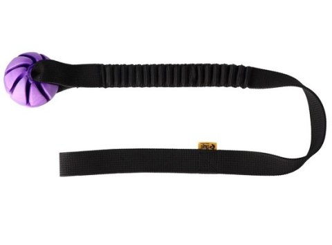 Dingo Zabawka dla psa - Szarpak Piłka z rączką bungee 6cm Dingo Zabawka dla psa - Szarpak Piłka z rączką bungee 6cm