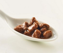 Kattovit Feline Diet Niere/Renal kaczka saszetka 85g