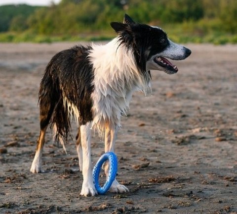 Kiwi Walker Let's Play Ring Mini niebieski Kiwi Walker Let's Play Ring Mini niebieski