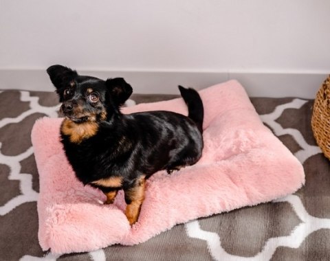MIMIKO Pets Legowisko Shaggy prostokątne L 65x45cm różowe MIMIKO Pets Legowisko Shaggy prostokątne L 65x45cm różowe